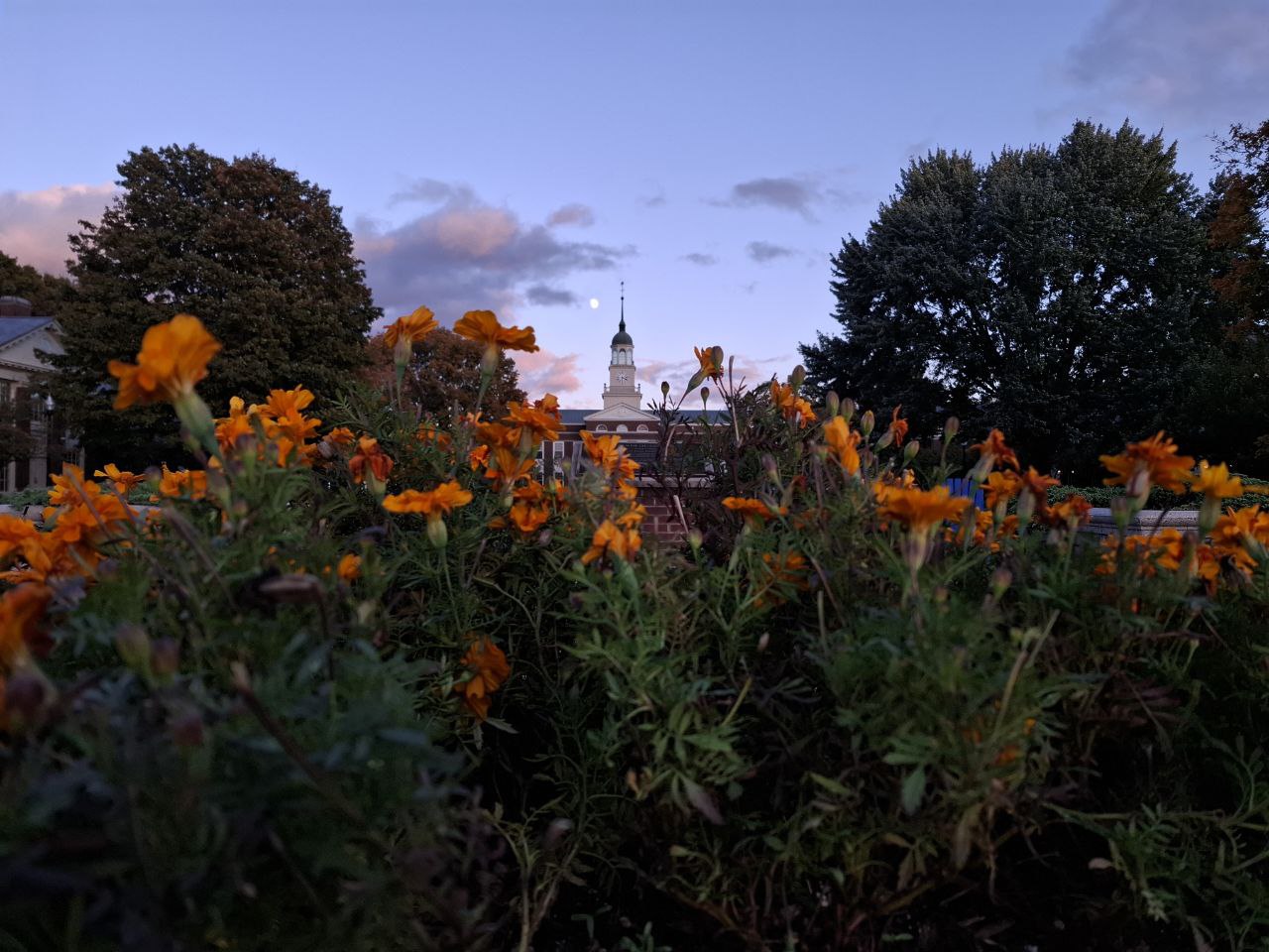 Lewisburg